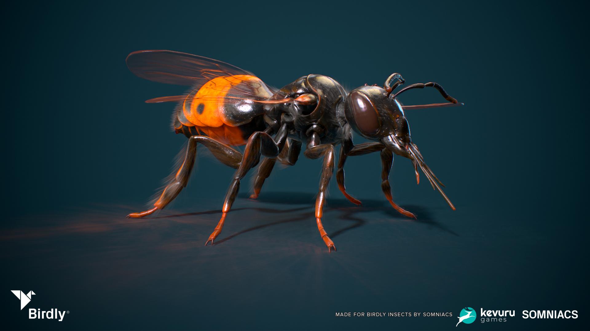 NYX Game Awards - Birdly Insects