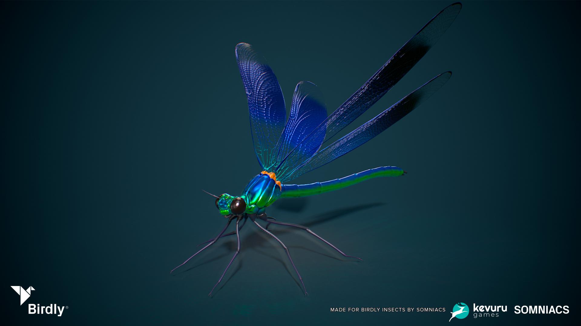 NYX Game Awards - Birdly Insects