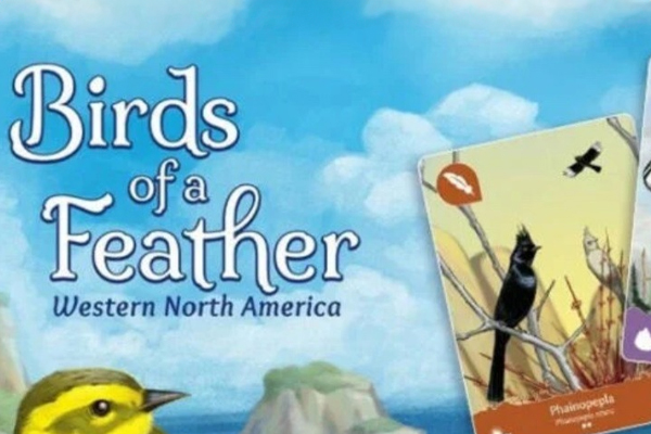 Educational Mobile Game Birds of a Feather Western North America Wins Silver Medal!