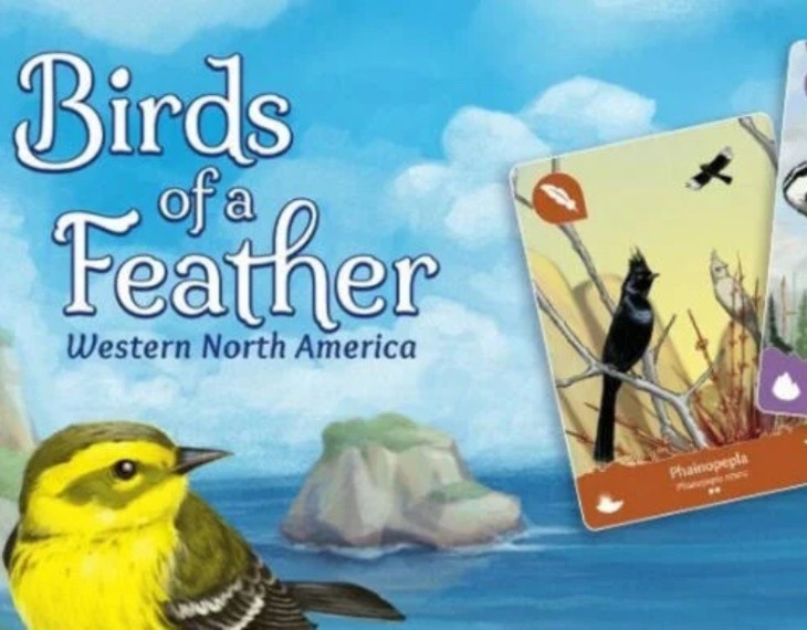 Educational Mobile Game Birds of a Feather Western North America Wins Silver Medal!